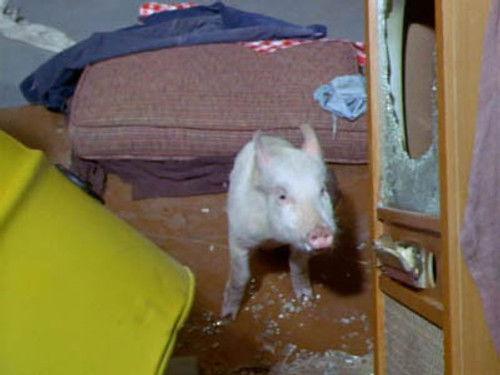 Green Acres Season 2 Episode 26 - Getting Even With Haney