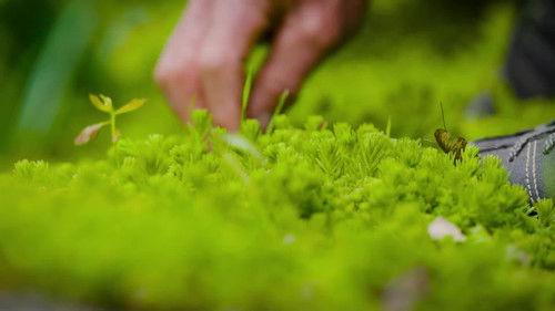 Natur im Garten Season 26 Episode 7 - Episode 7