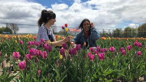 Sucré salé Season 18 Episode 18 - Episode 18