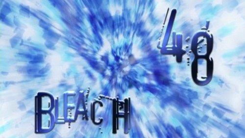 undefined Season 1 Episode 48 - Hitsugaya Roars!