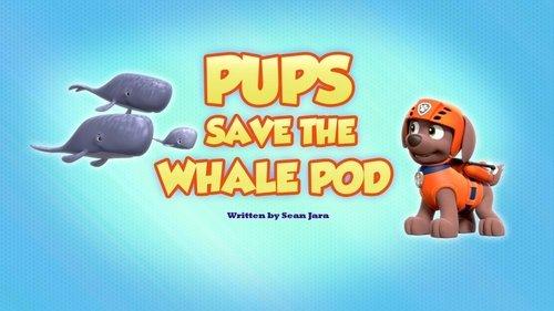 PAW Patrol Season 7 Episode 36 - Pups Save the Whale Pod
