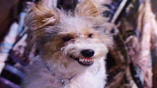 The Ghost & Mrs. Muir Season 1 Episode 3 - Treasure Hunt