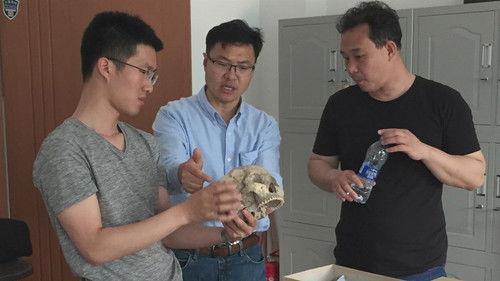 Ancient Aliens Season 22 Episode 1 - Skulls of the Gods