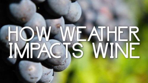Original Fare Season 1 Episode 7 - How Weather Impacts Wine