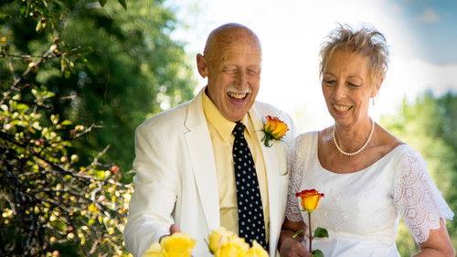 The Incredible Dr. Pol Season 13 Episode 1 - Whack-A-Pol