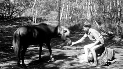 Poly Season 1 Episode 3 - Episode 3