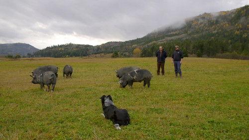 A Chef at the Shack Season 6 Episode 7 - Episode 7