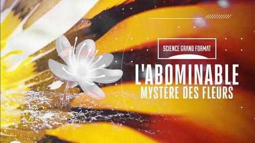 Science grand format Season 6 Episode 22 - Episode 22