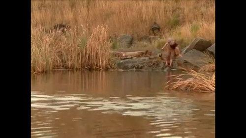 Thunderstone Season 2 Episode 4 - Is Noah Banished?