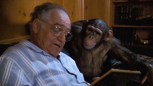 L.A. Law Season 6 Episode 5 - Monkey on My Back Lot