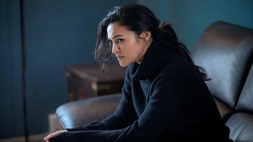 Law & Order: Organized Crime Season 5 Episode 6 - Red, White, Black and Blue