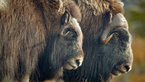 America the Beautiful Season 1 Episode 3 - Northland