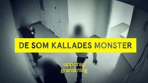 Uppdrag granskning Season 21 Episode 4 - Klimatbov i ny förpackning