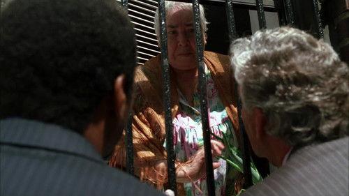 Law & Order Season 15 Episode 5 - Gunplay