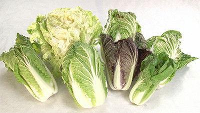 Background image for Hakusai