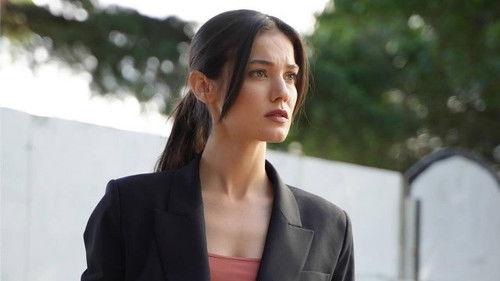 Family Secrets Season 1 Episode 33 - I Have Hope
