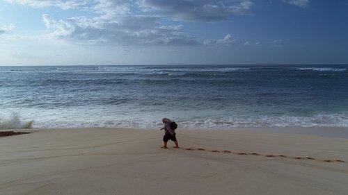 Lost Season 1 Episode 18 - Numbers