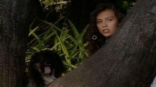 Marimar Season 1 Episode 19 - Episode 19