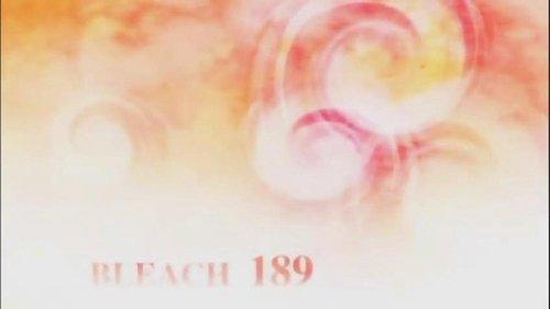 Bleach Season 1 Episode 189 - The Fallen Shinigami's Pride
