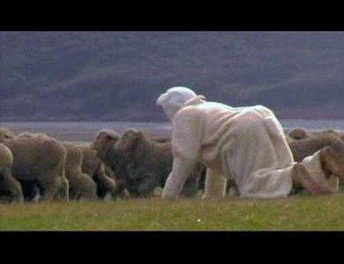 Wildboyz Season 1 Episode 7 - New Zealand