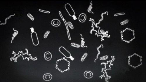 Comme par magie Season 1 Episode 2 - Episode 2