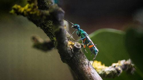 Background image for Episode 6