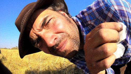 Nature Season 35 Episode 11 - Spy in the Wild: Meet the Spies
