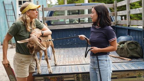 Moonshine Season 1 Episode 2 - Escape Goat