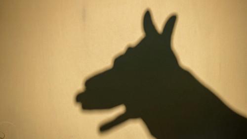 Magical Japanese Season 3 Episode 11 - Shadow / Shade