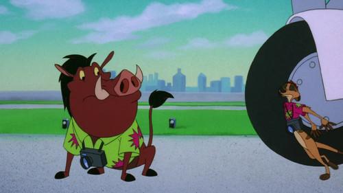 New Looney Tunes Season 3 Episode 6 - In Cold Fudd