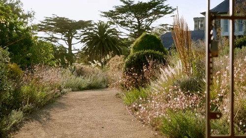 Gardening Australia Season 37 Episode 13 - Episode 13 Autumn: Iconic Foliage Garden & Begonias 101