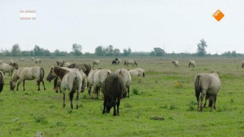 Argos TV - Medialogic Season 8 Episode 1 - Episode 1