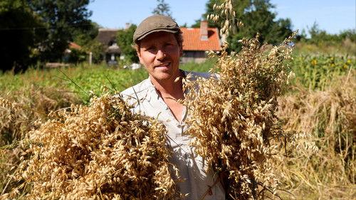 Frank & Kastaniegaarden Season 28 Episode 15 - Windmill and Oat Harvest