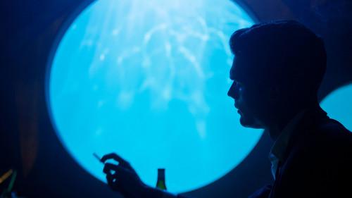 undefined Season 1 Episode 1 - The Year of the Fin