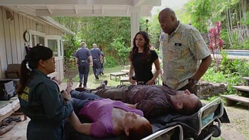 Hawaii Five-0 Season 8 Episode 25 - Waiho wale kahiko (Ancients Exposed)