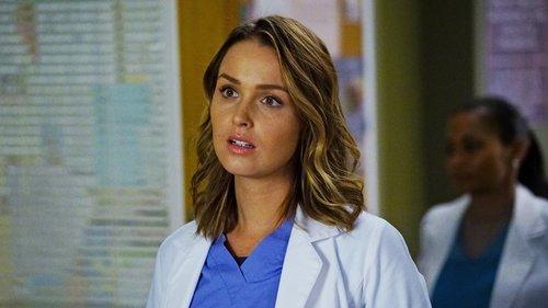 Grey's Anatomy Season 13 Episode 4 - Falling Slowly