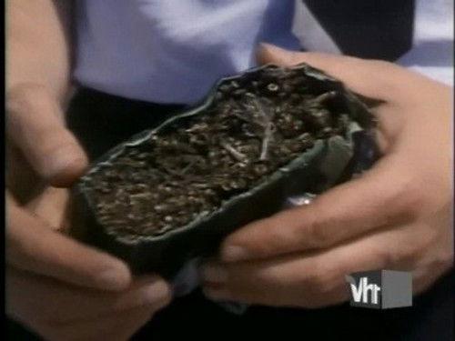 The Drug Years Season 1 Episode 3 - Teenage Wasteland