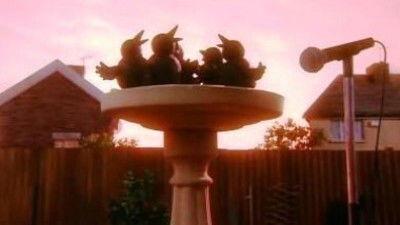 Creature Comforts Season 1 Episode 10 - Being a Bird