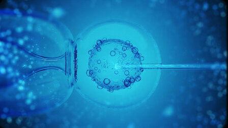 History 101 Season 2 Episode 9 - IVF