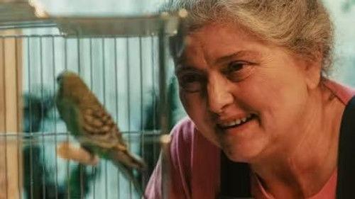 Krummernes jul Season 1 Episode 14 - Episode 14