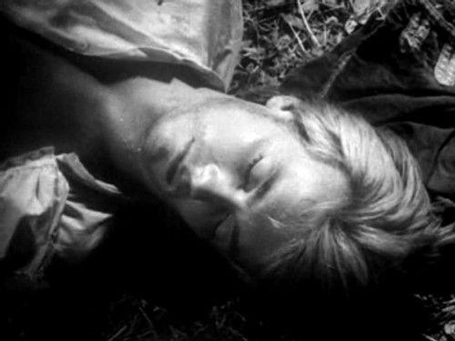 The Adventures of Robinson Crusoe Season 1 Episode 3 - Episode 3