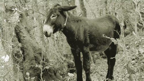 Moonshiners Season 5 Episode 14 - Still Regretting