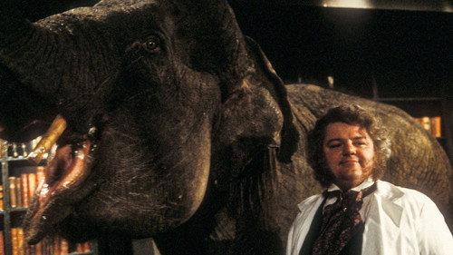 undefined Season 2 Episode 1 - Bambi