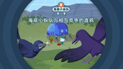 Octonauts Season 8 Episode 13 - Episode 13