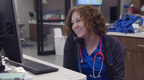 Dr. T, Lone Star Vet Season 1 Episode 4 - T and the Family Turtle