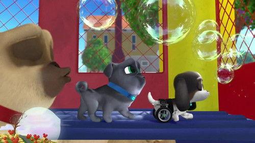 Puppy Dog Pals Season 3 Episode 3 - Bob and Ana's Bubble Bummer