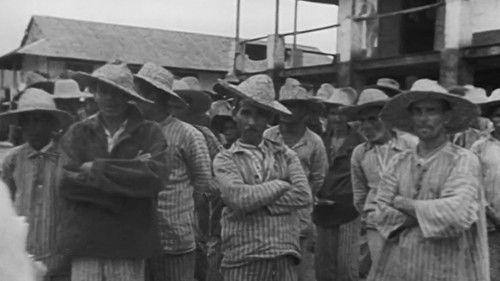 Mystères d'archives Season 4 Episode 5 - Episode 5