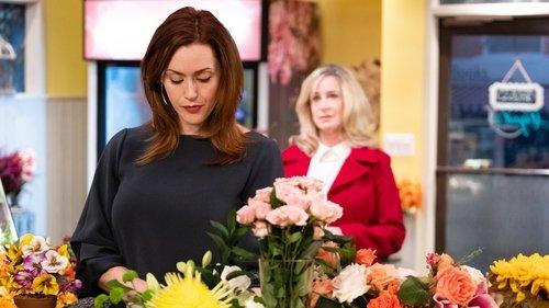 Good Witch Season 5 Episode 9 - The Comet