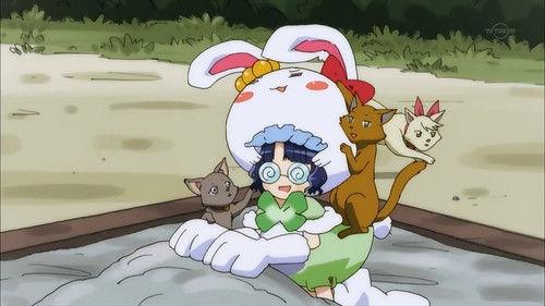 Background image for Raccoon has come!