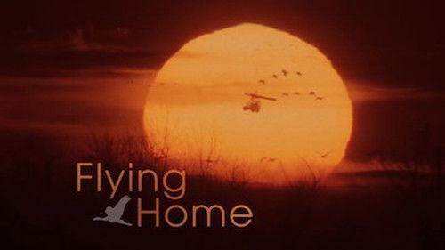 Natural World Season 21 Episode 13 - Flying Home